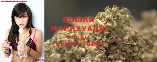 спайс Покачи