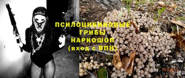 спайс Покачи