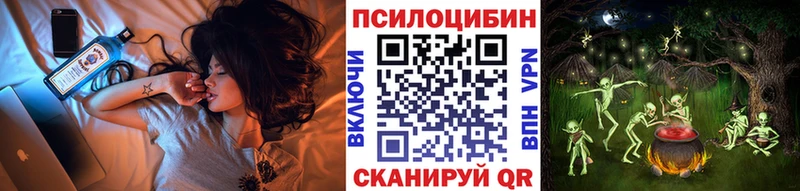 наркошоп  Тайга  Псилоцибиновые грибы мухоморы 