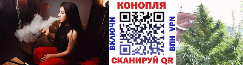 Бошки марихуана семена  сколько стоит  Тайга 